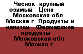 Чеснок, крупный, озимый › Цена ­ 250 - Московская обл., Москва г. Продукты и напитки » Фермерские продукты   . Московская обл.,Москва г.